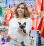 Аватара пользователя