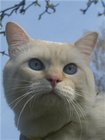 Аватара пользователя