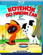 Аватара пользователя